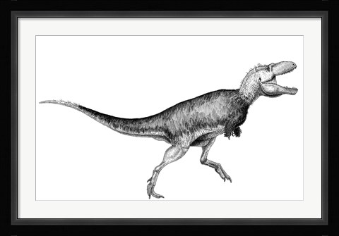 Framed Black Ink drawing of Bistahieversor Sealeyi Print