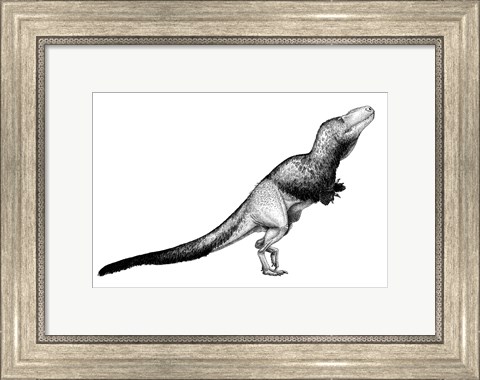 Framed Black Ink Drawing of Daspletosaurus Torosus Print