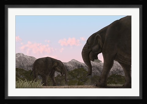 Framed Two Deinotherium, an Extinct Animal of the Miocene Epoch Print