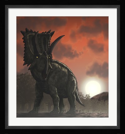 Framed Coahuilaceratops Walking through a Cretaceous Sunset Print