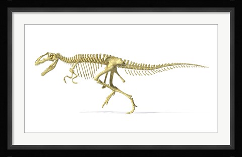 Framed 3D Rendering of a Giganotosaurus Dinosaur Skeleton Print