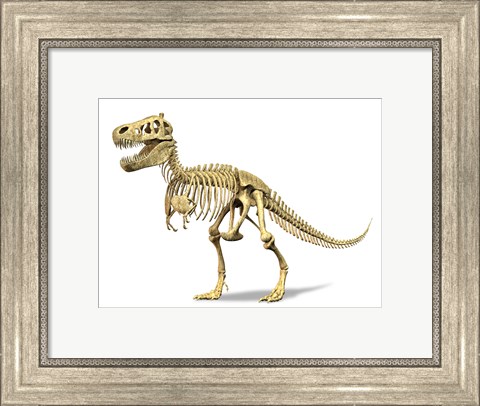 Framed 3D Rendering of a Tyrannosaurus Rex Dinosaur Skeleton Print