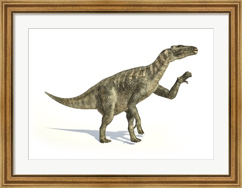 Framed Iguanodon Dinosaur in Dynamic Posture Print