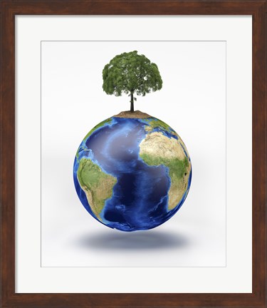 Framed Planet Earth with a Tree Growing on Top Print