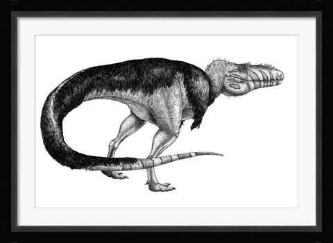 Framed Black Ink Drawing of Alioramus Remotus Print