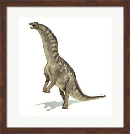 Framed Amargasaurus Dinosaur in Dynamic Posture Print