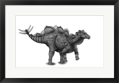 Framed Pencil Drawing of Wuerhosaurus Homheni Standing on its Hind Legs Print
