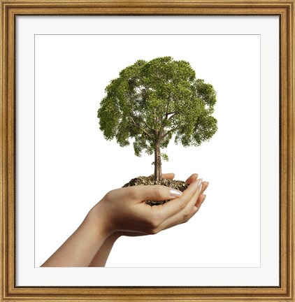 Framed Woman&#39;s Hands Holding Soil with a Tree Print