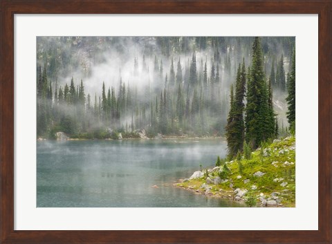 Framed Fog and Rain on Lake Eva, Revelstoke National Park, British Columbia, Canada Print