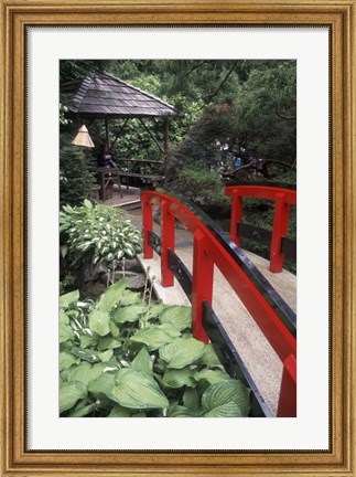 Framed Japanese Garden at Butchart Gardens, Vancouver Island, British Columbia, Canada Print