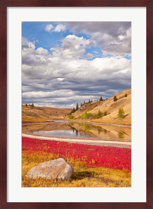Framed Grassland landscape, Lac Du Bois Grasslands Park, Kamloops, BC, Canada Print
