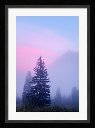 Framed Canada, British Columbia, Mount Robson Park Foggy sunrise Print