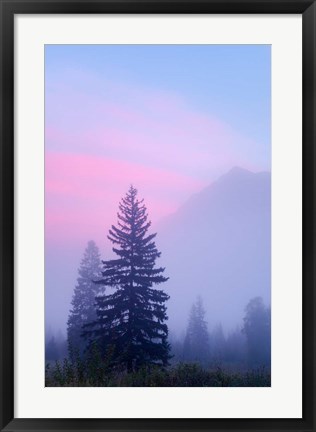 Framed Canada, British Columbia, Mount Robson Park Foggy sunrise Print