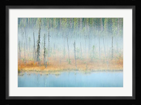 Framed Foggy pond and forest, Mount Robson PP, British Columbia, Canada Print