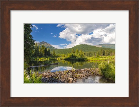 Framed Flathead River, British Columbia, Canada Print