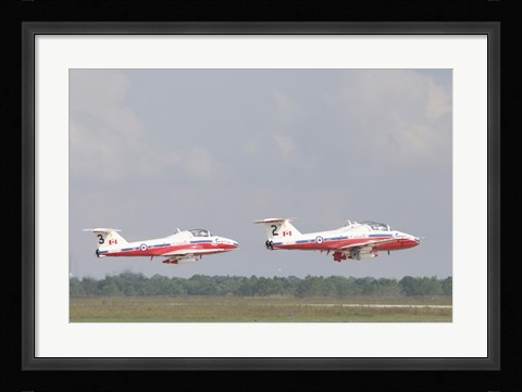 Framed Snowbirds 431 Print