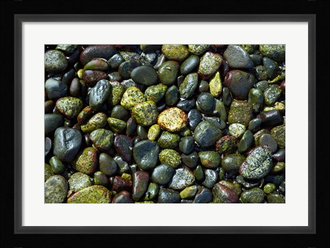 Framed Patterns, Rebecca Spit, Quadra Isl, British Columbia Print