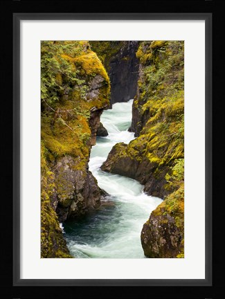 Framed River, Vancouver Island, British Columbia Print