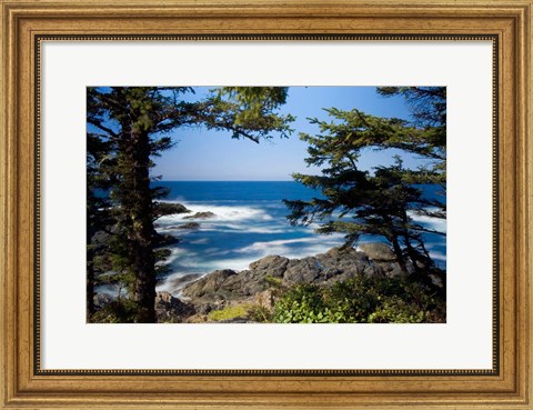 Framed Wild Pacific Trail, Vancouver Island British Columbia Print