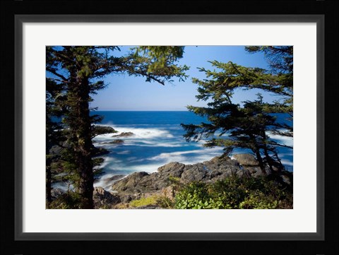 Framed Wild Pacific Trail, Vancouver Island British Columbia Print