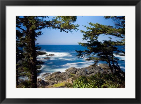 Framed Wild Pacific Trail, Vancouver Island British Columbia Print