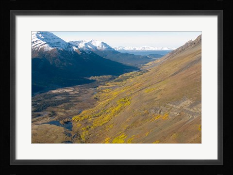 Framed Todagin South Slope Provincial Park, British Columbia Print