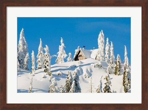 Framed Mountain cabin, Seymour Mountain, British Columbia Print