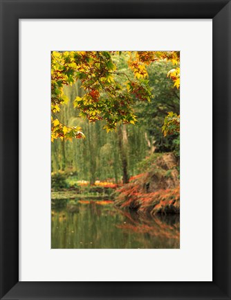 Framed Colorful Fall Leaves at Butchart Gardens, Victoria, British Columbia, Canada Print