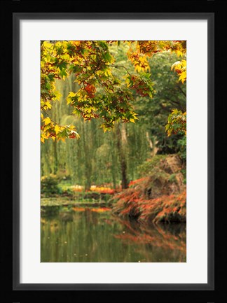 Framed Colorful Fall Leaves at Butchart Gardens, Victoria, British Columbia, Canada Print