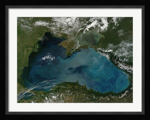 Framed Phytoplankton Bloom in the Black Sea Print