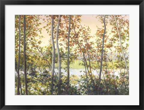 Framed Autumn Shady Print