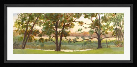 Framed Mill Stream Willows Print