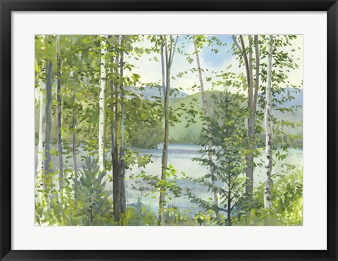 Framed Summer Lake IV Print