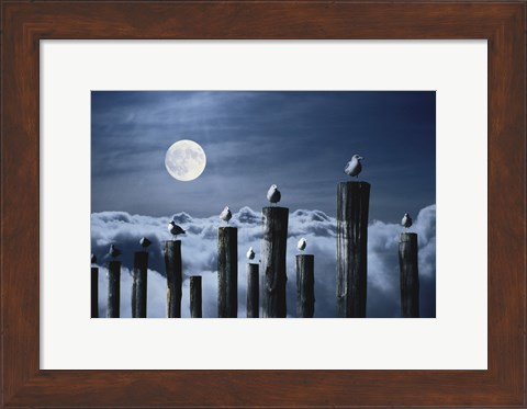 Framed Seagulls Perched on Wooden Posts under a Full Moon Print