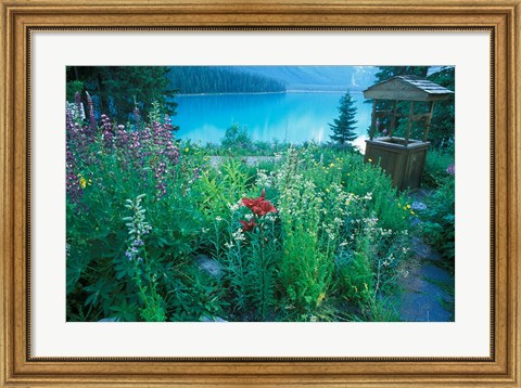 Framed Emerald Lake, Yoho National Park, British Columbia Print