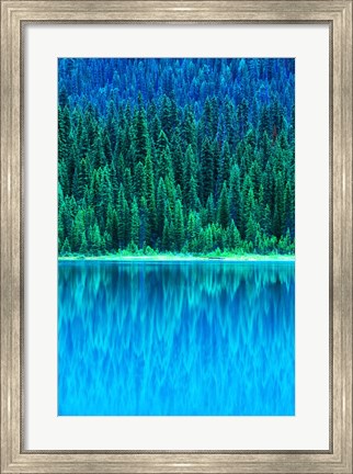 Framed Emerald Lake Boathouse, Yoho National Park, British Columbia, Canada (vertical) Print