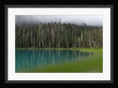 Framed Blue glacial lake, evergreen forest, British Columbia Print