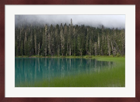 Framed Blue glacial lake, evergreen forest, British Columbia Print