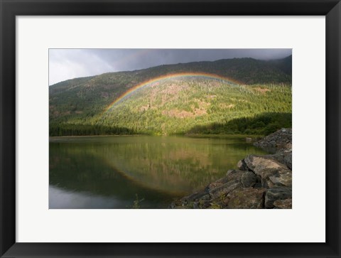 Framed Buttle Lake, Vancouver Isl, British Columbia Print