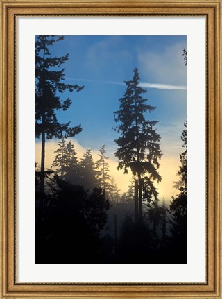 Framed Stanley Park, Vancouver, British Columbia, Canada Print
