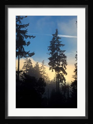 Framed Stanley Park, Vancouver, British Columbia, Canada Print