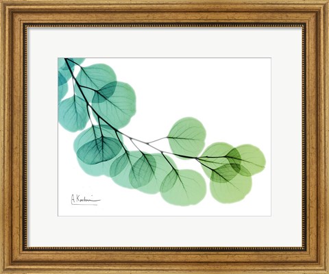 Framed Eucalyptus Green Blue Print