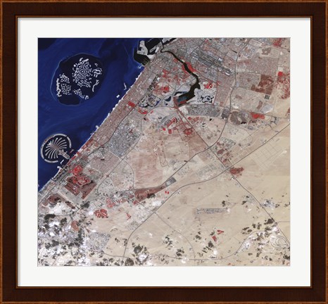 Framed False-Color image of part of Dubai Print