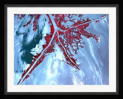 Framed False Color Satellite View of the Very tip of the Mississippi River Delta Print
