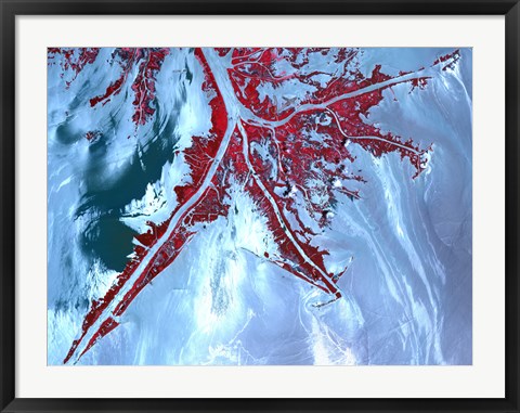 Framed False Color Satellite View of the Very tip of the Mississippi River Delta Print