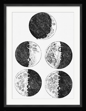 Framed Galileo's Drawings of the Phases of the Moon Print