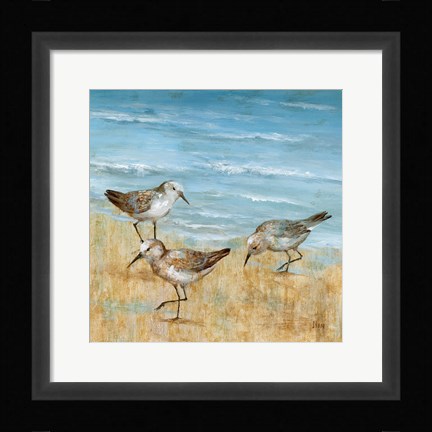 Framed Sandpipers II Print