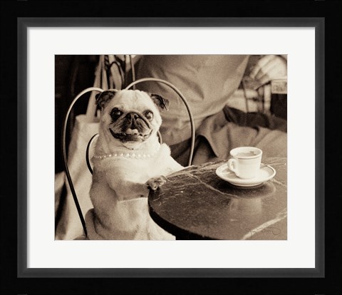 Framed Cafe Pug Print