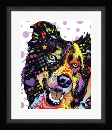 Framed Border Collie 1 Print