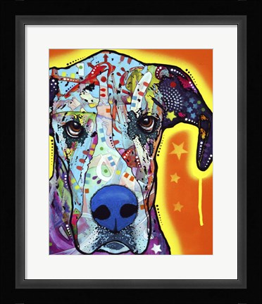 Framed Great Dane Print